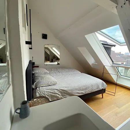 Appartement Spacieux Et Lumineux Au Centre De *