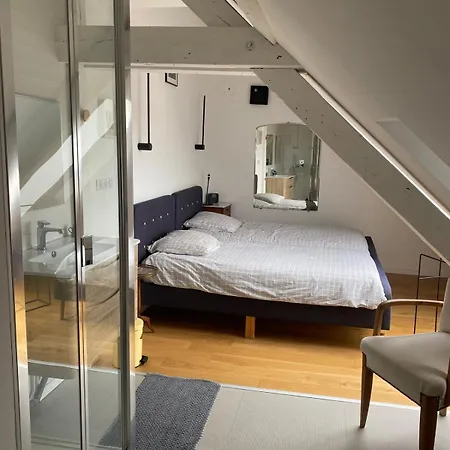 Apartment Spacieux Et Lumineux Au Centre De Strasbourg